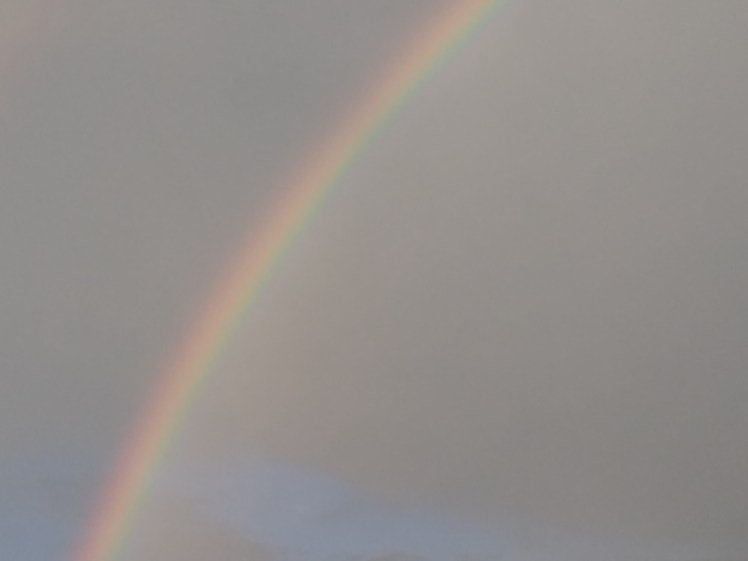 IMG_20170708_200210905